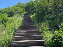 -白草畔自然风景区