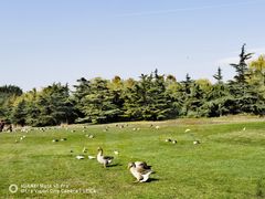 -安立路(地铁站)