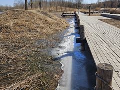-马家湾湿地公园
