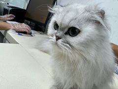 -宠颐生中康贝怡动物医院