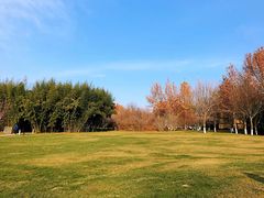 -春晖园度假酒店温泉