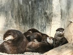 -昆明动物园