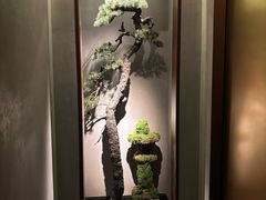 -觀芷隐轩