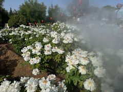 -洛阳市隋唐城遗址植物园