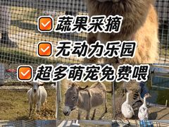 -菊园百果园