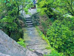 -青竺·青竹茶舍(断桥店)