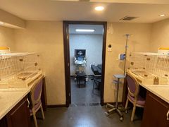 -宠爱国际动物医院·消化内科·心肾内科·ISFM猫友好(望京店)