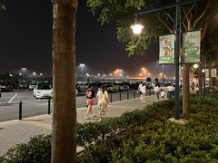 场地-迪士尼唐老鸭-停车场