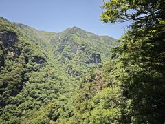 -牛背梁国家森林公园