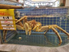 -骏莱海鲜鱼港(五角场店)