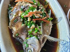 -芦茨金富饭庄·25年老字号·专做稻草鸡