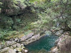 -大鄣山卧龙谷景区