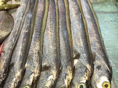 -阿浪海鲜连锁加工店(B栋2排1号火车头店)