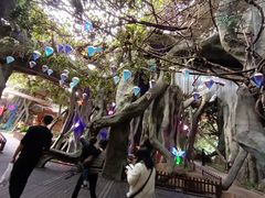 -横店影视城梦幻谷园区