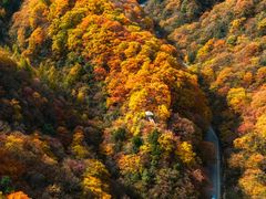 -光雾山旅游景区