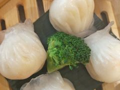 -锦粤宫·精致粤菜(深圳北站店)