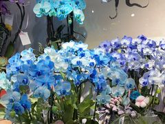 -花里花店(唐镇阳光天地店)