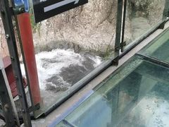 -龙湾潭国家森林公园