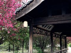 -爱新觉罗皇家博物院