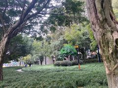 -温江公园