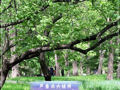 -玲珑塔公园
