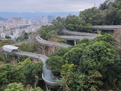 -福道