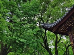 -汇龙潭