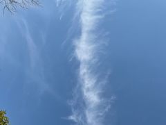 -尚湖风景区