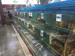 水产区-范饭椰林川湘味海鲜·椰子鸡(三亚湾椰梦长廊店)