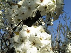 -水库活鱼馆(于桥水库店)