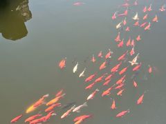 -中国翰园碑林