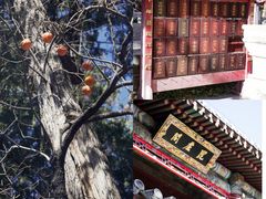 -潭柘寺景区