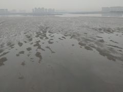 -王记西鎮电烤肉(汶上路店)