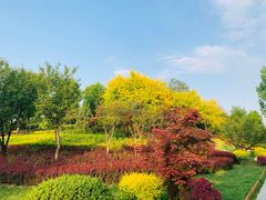 -宝鸡植物园