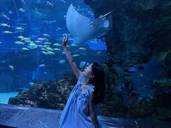 -海合安成都极地海洋公园