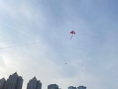 -星海广场