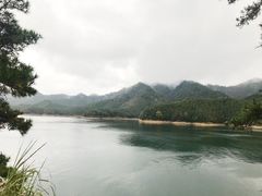 -千岛湖石林