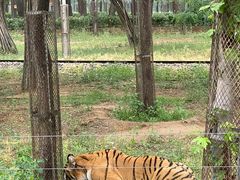 -秦皇岛野生动物园