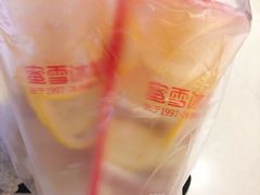 -蜜雪冰城(陆家嘴店)