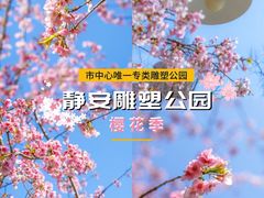 -上海辰山植物园