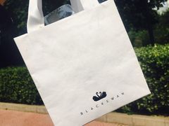 -BLACKSWAN黑天鹅(环球店)