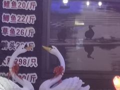 -山里屯铁锅炖(哈尔滨中央大街店)