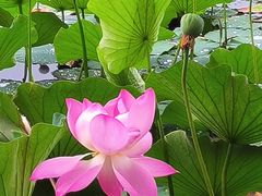 -满都海公园