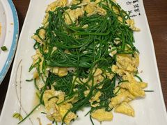 -靖远尕六美味羊羔肉