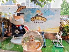 -柴犬高等学院·狗咖·柴犬售卖·宠物训练