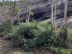 -马头山