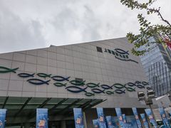 -上海海洋水族馆