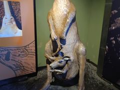 -上海海洋水族馆