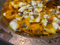 -雲蜀龙阁·金牌水煮鱼(方庄店)