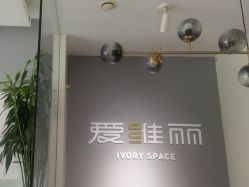 -爱维丽